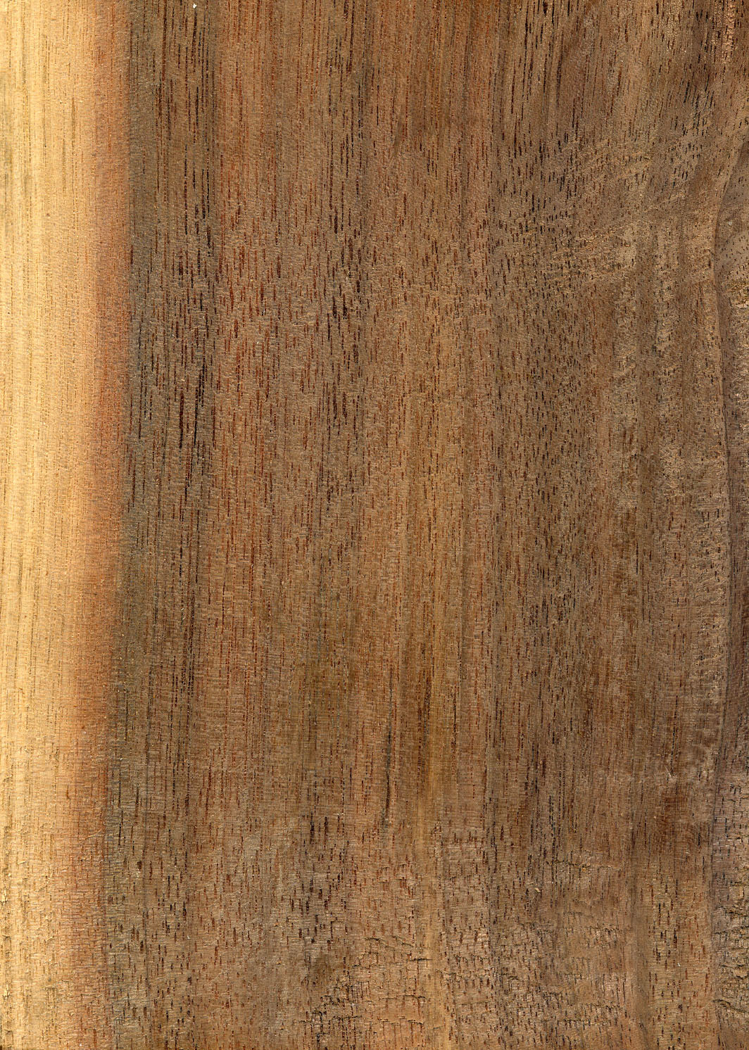 Walnut