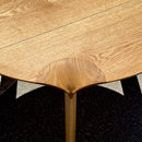 Dining Table Evon — material and finish view