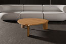Coffee Table Deltus — material and finish view