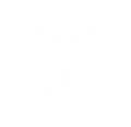 RONN Design